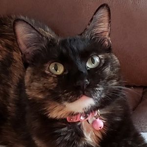 Meet your Posher, Susan